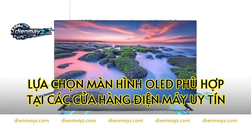 Lựa chọn màn hình OLED phù hợp tại các cửa hàng điện máy uy tín