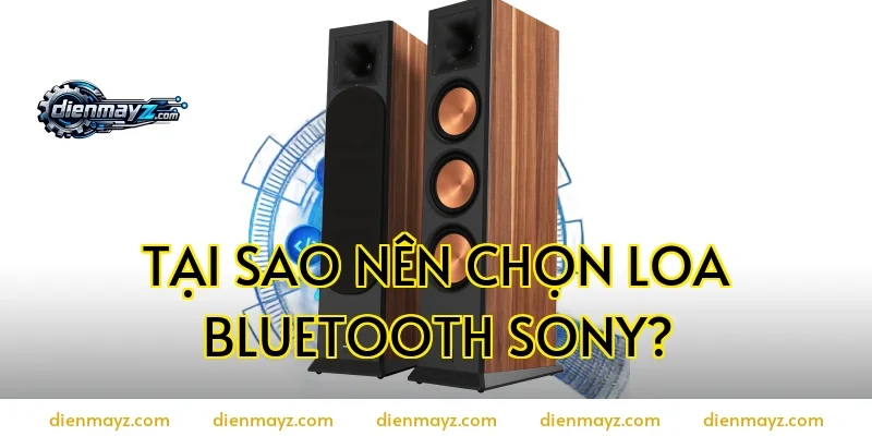 Tại sao nên chọn loa bluetooth Sony?
