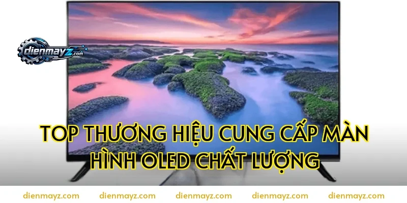 Top thương hiệu cung cấp màn hình OLED chất lượng