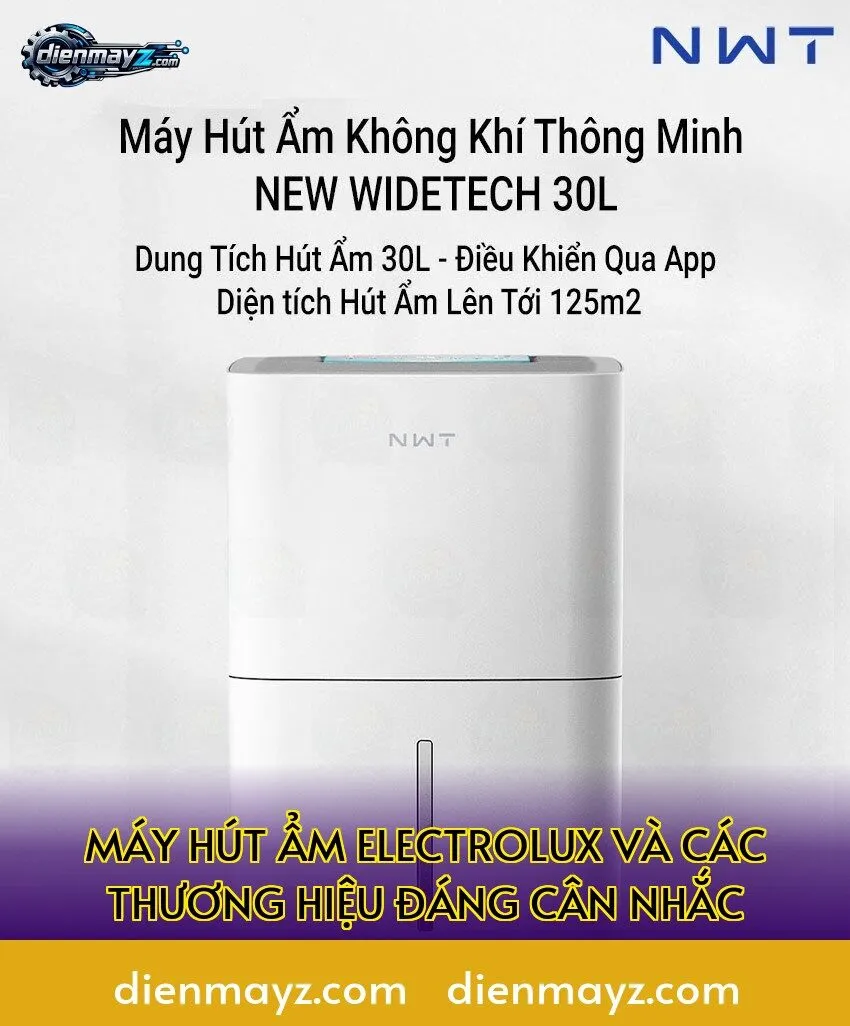 máy hút ẩm electrolux và các thương hiệu đáng cân nhắc