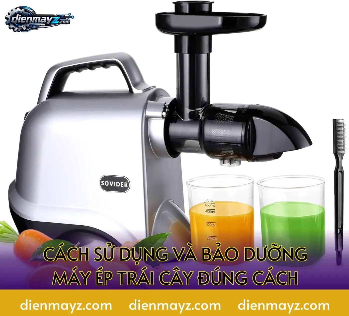 cách sử dụng và bảo dưỡng máy ép trái cây đúng cách