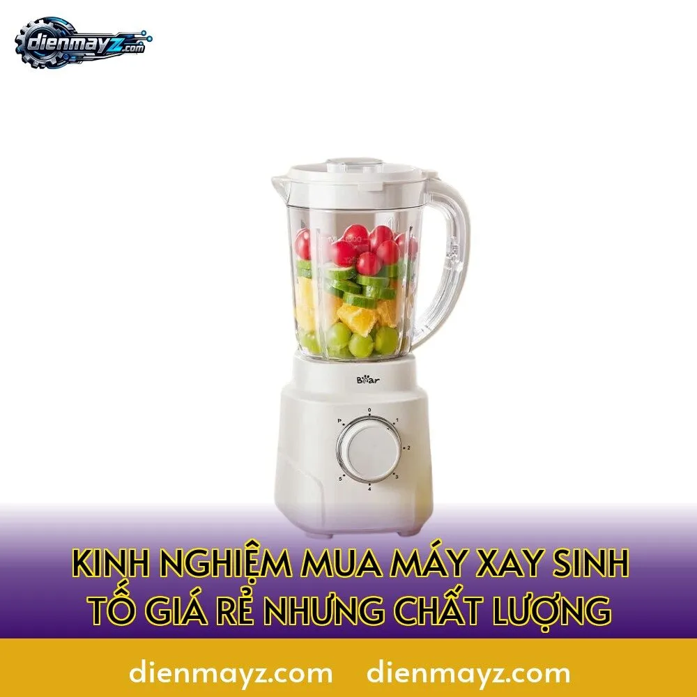 kinh nghiệm mua máy xay sinh tố giá rẻ nhưng chất lượng