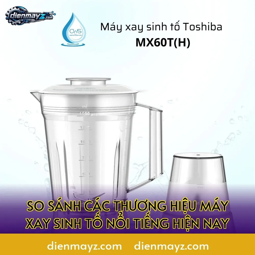 so sánh các thương hiệu máy xay sinh tố nổi tiếng hiện nay