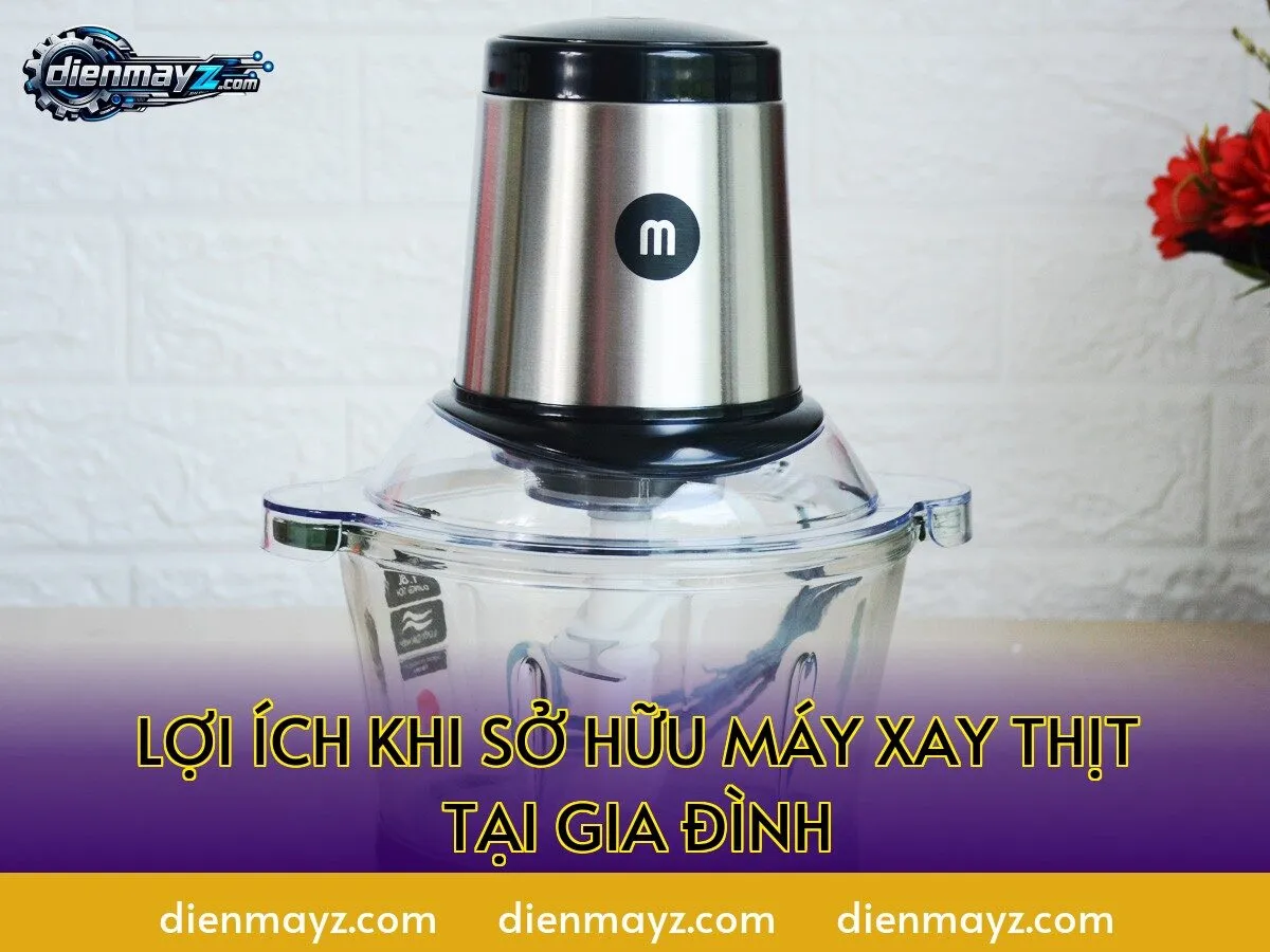 lợi ích khi sở hữu máy xay thịt tại gia đình