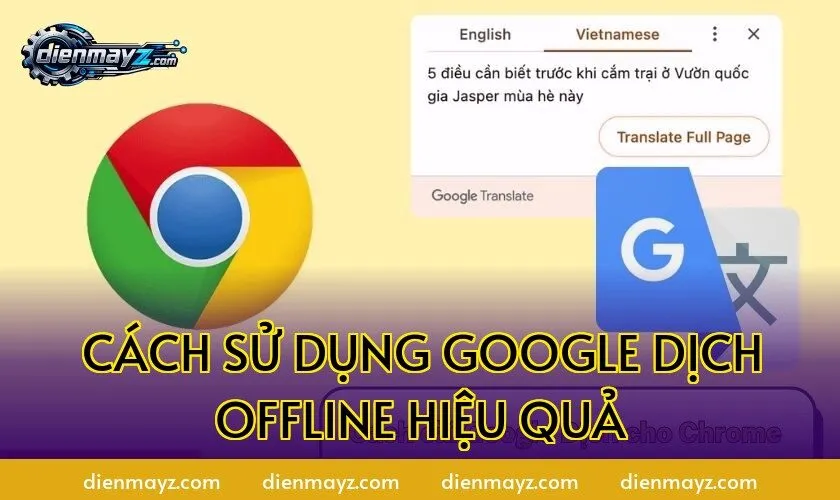 Cách sử dụng Google Dịch offline hiệu quả