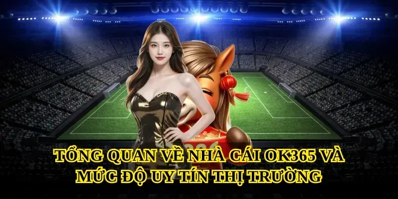 Tổng quan về nhà cái Ok365 và mức độ uy tín thị trường